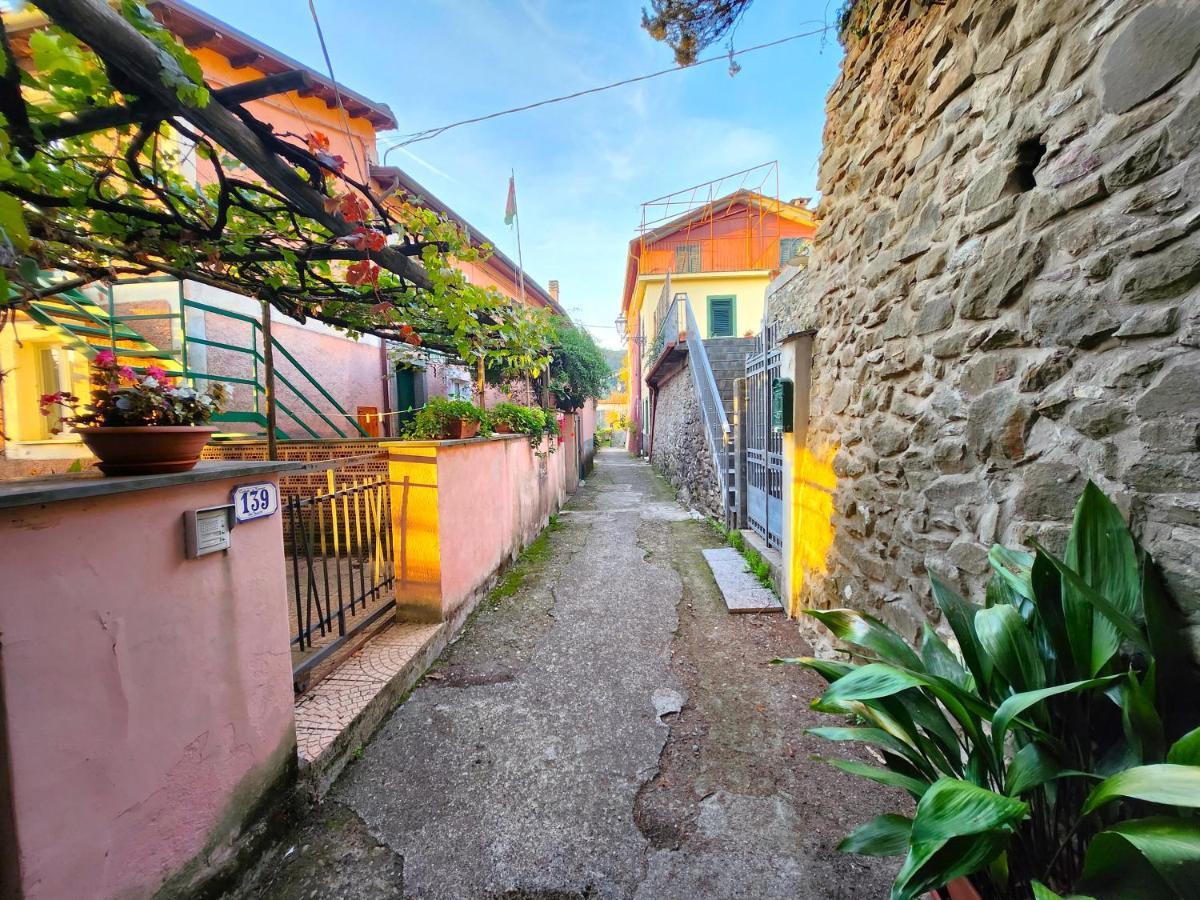 Casa Monti Διαμέρισμα Pignone Εξωτερικό φωτογραφία
